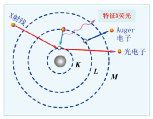 X射線熒光分析技術