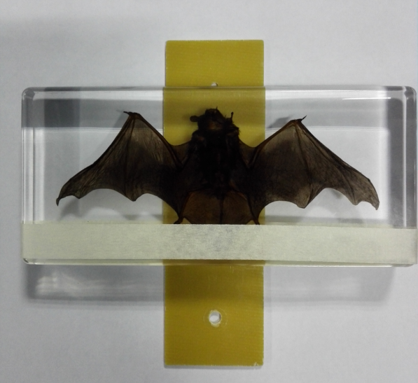 1643091994129574.png 1643091994129574.png