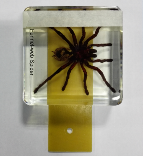 1643092598623417.png 1643092598623417.png