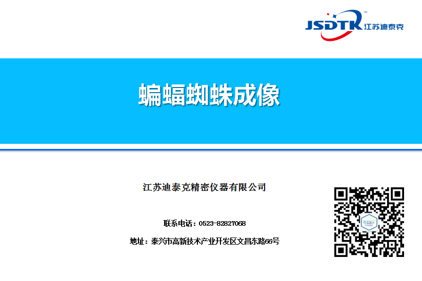 成像案例：蝙蝠蜘蛛成像