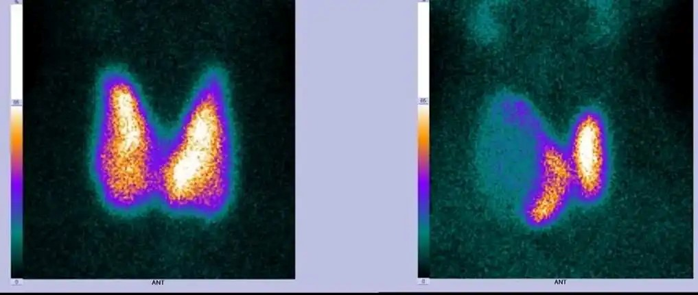 1732087823625839.png 1732087823625839.png